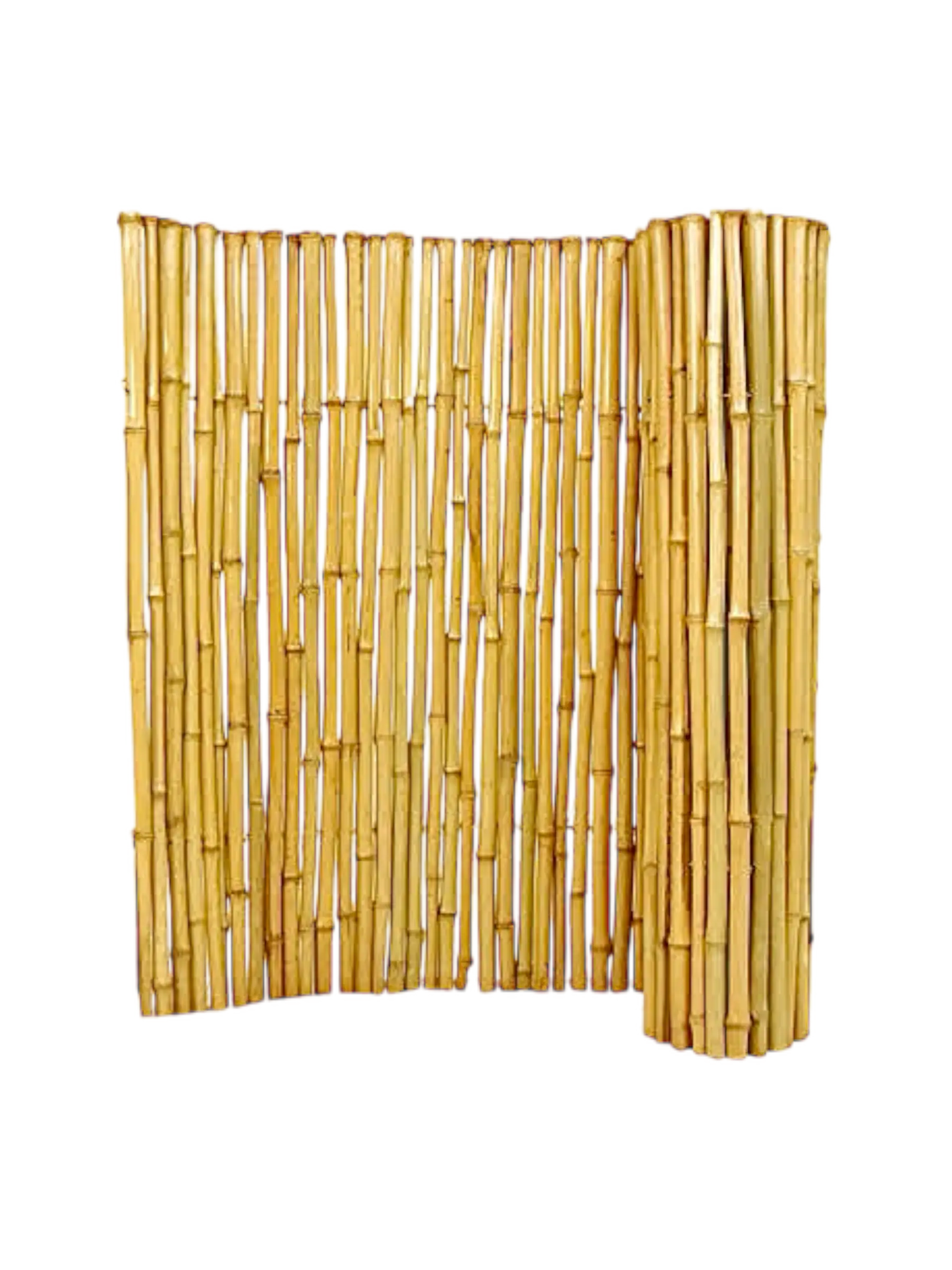Bamboo Fence Roll Apus